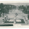 2538 - BUCURESTI, Park Carol - old postcard, real PHOTO - used