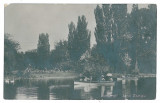 133 - BUCURESTI, Park and Cismigiu Lake - old postcard, real PHOTO - used - 1910, Circulata, Printata