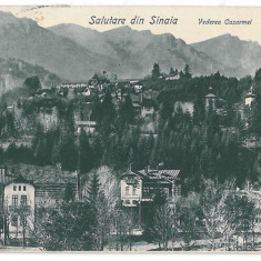 3655 - SINAIA, Prahova, Panorama - old postcard - used - 1908