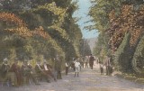 SALUTARI DIN PUCIOASA ALEEA PARCULUI CIRCULATA 1924, Printata