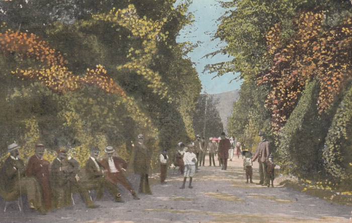 SALUTARI DIN PUCIOASA ALEEA PARCULUI CIRCULATA 1924