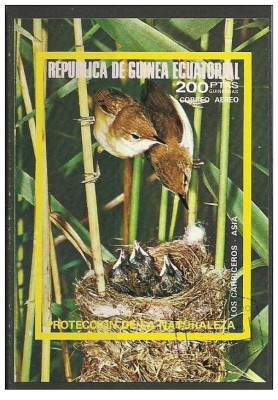 GUINEA EQUATORIAL 1976 FAUNA , PASARI SALBATICE 2 COLITE STAMPILATE foto