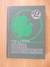 CALAUZA HORTICULTORULUI- LUPSA, BALANESCU- cartonata foto