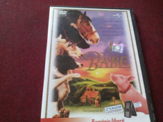 FILM DVD BABE foto