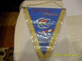 fanion Polisportiva Cignoli