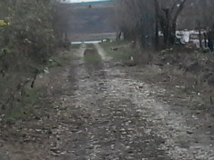 Teren intravilan 1600 m patrati la 45 km de Bucuresti,sat Naipu foto