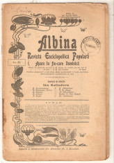 Revista Albina nr.31-1900 foto