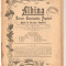 Revista Albina nr.31-1900