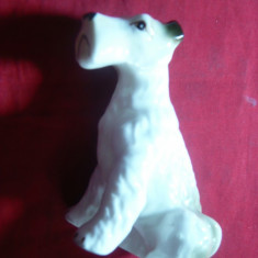 Bibelou portelan - Catel- Terrier , h= 8,5 cm