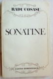 Cumpara ieftin RADU COSASU - SONATINE, 1987 (PORTRETE, SCHITE, TRAGEDII)