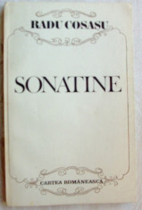 RADU COSASU - SONATINE, 1987 (PORTRETE, SCHITE, TRAGEDII) foto