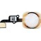 Buton meniu+flex iPhone 6 gold original