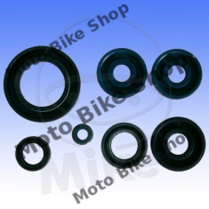 MBS Kit semeringuri motor BMW F 650, Cod Produs: 7351794MA foto