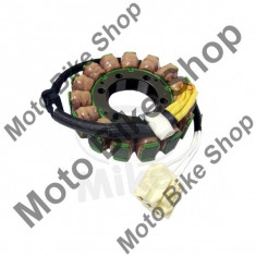 MBS Stator Kawasaki ZX-10R 1000 D Ninja 6F ZXT00D 2006, Cod Produs: 7000704MA foto