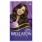 WELLATON Vopsea par Wellaton Kit 61, Blond cenusiu inchis