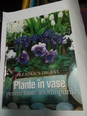 PLANTE IN VASE PENTRU TOATE ANOTIMPURILOR - Reader&amp;#039;s Digest foto