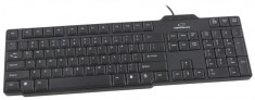 Tastatura ESPERANZA standard EK116 USB, 104 taste, Negru foto
