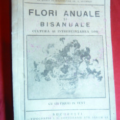 N.Iacobi- Flori Anuale si bisanuale -Ed.1932 cu 133 fig.in text-Ed.I.Capuzeanu