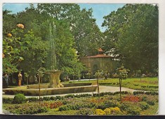 bnk cp Buzias - Parcul - circulata - marca fixa