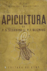 Apicultura (Scerbina) foto