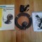 Conrad X-Cam mini video camera