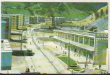 bnk cp Baia Borsa - Vedere - circulata