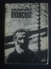 OMAGIU LUI BRANCUSI volum editat de revista Tribuna {1976} foto