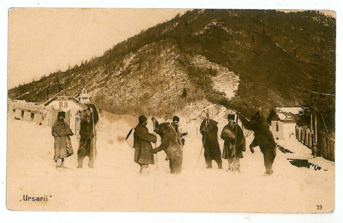 3433 - Ethnic URSARI, bear trainers - old postcard - unused