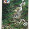 bnk cp Borsa - Cascada Izvorul cailor - circulata