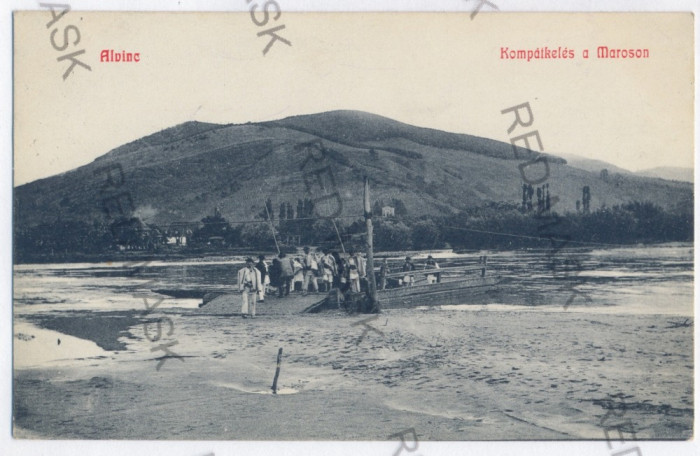 3422 - VINTUL de JOS, Alba, Bac peste Mures - old postcard - used - 1917