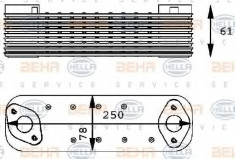 Radiator ulei, ulei motor MERCEDES-BENZ NG 1633,1633 L - BEHR HELLA SERVICE 8MO 376 725-041 foto