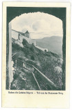 3456 - RASNOV, Brasov, Cetatea - old postcard - unused, Necirculata, Printata
