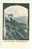 3456 - RASNOV, Brasov, Cetatea - old postcard - unused, Necirculata, Printata