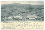 3483 - ABRUD, Alba, Panorama - old postcard - used - 1901, Circulata, Printata