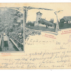 3475 - FRASIN, pe raul Tisa, Maramures, Litho - old postcard - used - 1901