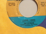 RAY PETERSON - CORRINE,CORRINA(1969/MGM REC/USA) - VINIL/&quot;7 Single/Impecabil, Rock, sony music