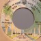 THE CASCADES - THE LAST LEAF...(1967/WARNER REC/USA) - VINIL/&quot;7 Single/Impecabil