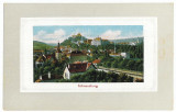 2176 - SIGHISOARA, Mures, Panorama - old postcard - unused, Necirculata, Printata