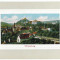 2176 - SIGHISOARA, Mures, Panorama - old postcard - unused