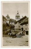 1959 - SIGHISOARA, Market, Oxcart - old postcard - unused