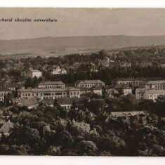 CPI (B7331) CARTE POSTALA - CLUJ. CARTIERUL CLINICILOR UNIVERSITARE, RPR, 1963