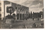 CPI (B7334) CARTE POSTALA - CLUJ. MUZEUL BOTANIC, RPR, 1960, Circulata, Fotografie