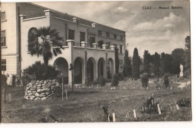 CPI (B7334) CARTE POSTALA - CLUJ. MUZEUL BOTANIC, RPR, 1960 foto