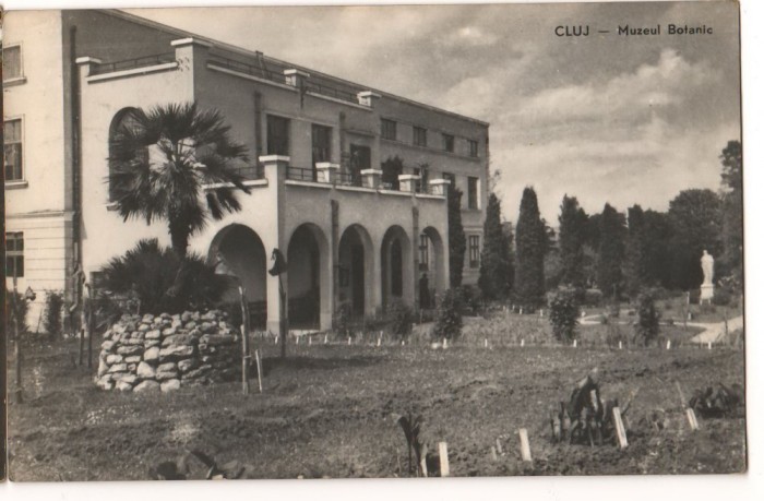 CPI (B7334) CARTE POSTALA - CLUJ. MUZEUL BOTANIC, RPR, 1960