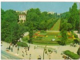 CPI (B7323) CARTE POSTALA - BUCURESTI. GRADINA CISMIGIU, 1978, Circulata, Fotografie