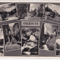 Lacul Rosu Gyilkos-to carte postala multipla necirculata 1942