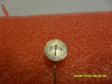 insigna Poiana Cimpina