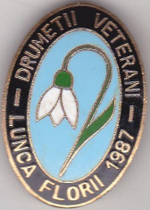 Insigna Lunca Florii 1987 - Drumetii Vetearni foto