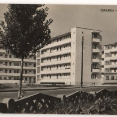 CPI (B7379) CARTE POSTALA - ORADEA. LOCUINTE NOI, R.P.R.