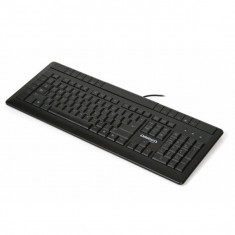 KEYBOARD US OMEGA OK-330 CANES ILLUMINATED USB foto